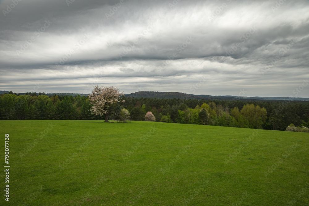 Roztocze