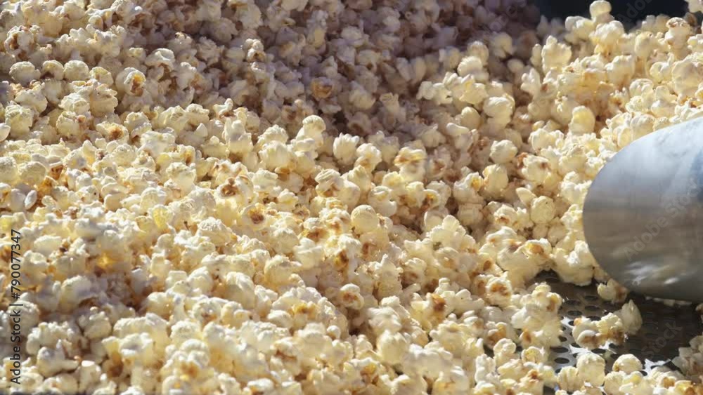 Popcorn homemade in fry pan, popcorn popping in hot cooking oil, popcorn seed exploding, Extreme close up Popcorn homemade in fry pan, popcorn popping in hot cooking oil, popcorn seed exploding, Extreme close up