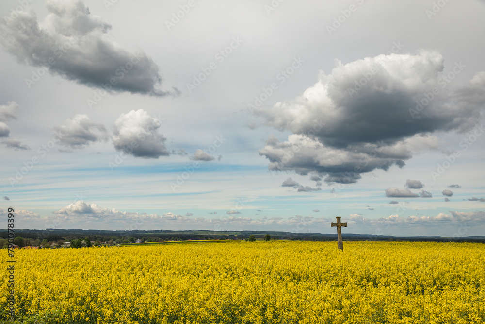 Krzyż na polu rzepaku