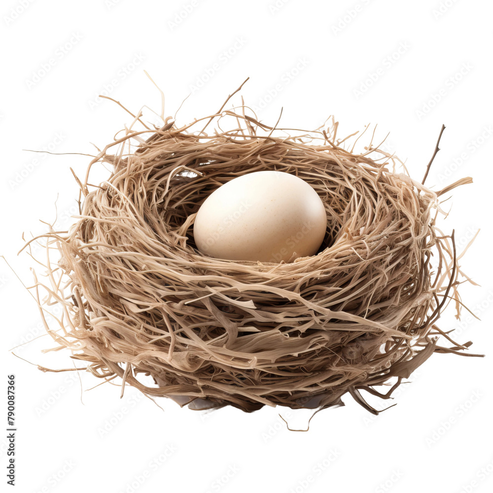 Beautiful Birds Nest Craft Isolated On White Background Beautiful Birds Nest Craft Isolated On White Background