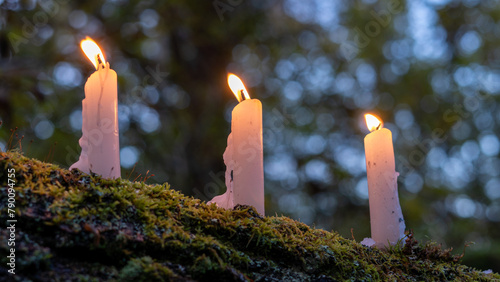 Three candles on a tree branch. In a forest. With a shallow depth of field and bokeh in the background.