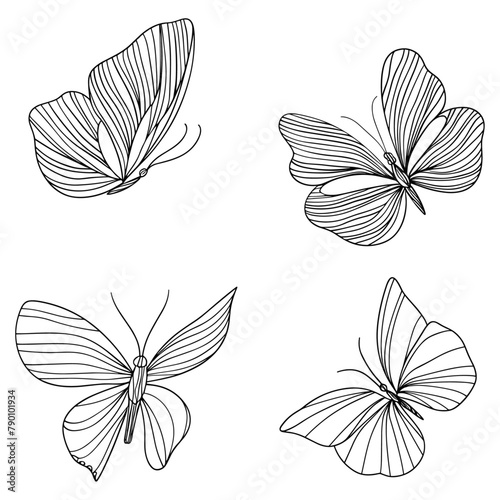 collection of delicate black and white butterflies with intricate wing patterns rests on a clean white background