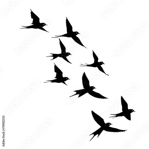 collection of bird silhouettes, each one distinct and caught in various stages of flight