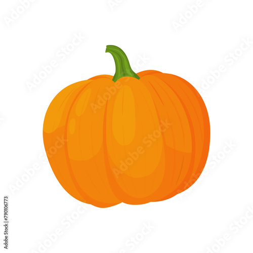 Background of orange autumn pumpkins with defocused blur effect for Harvest festival or Thanksgiving day. Pumpkins of different size on transparent background. Vector flat design