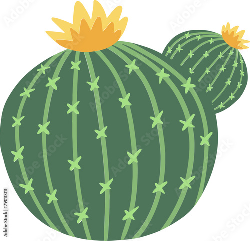 Cactus illustration