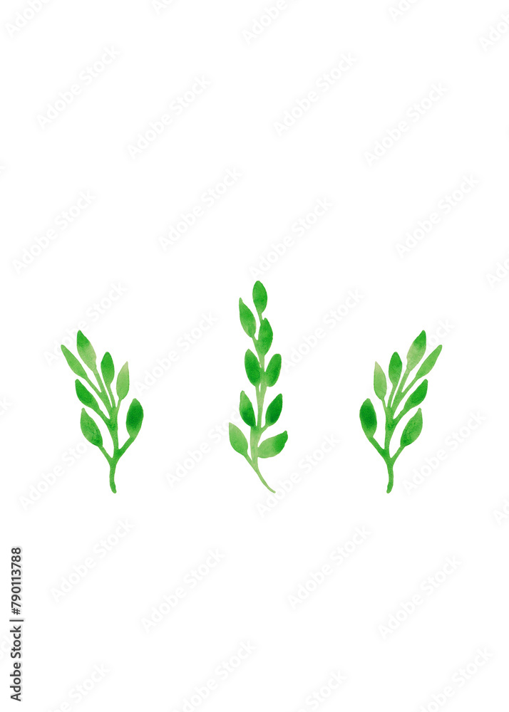 Fototapeta premium Clipart with green branches. Modern organic clipart. The background is white. Isolated watercolor illustration for your design. Art poster