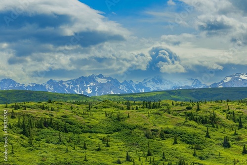 Denali National Park and Preserve,Alaska, United States, North America  © Miroslav