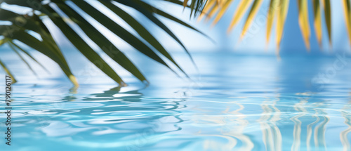 Serene Palm Leaves Reflection on Clear Pool Water
