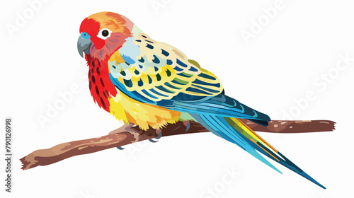 Eastern rosella cute colorful parrot. Exotic tropical bird photo