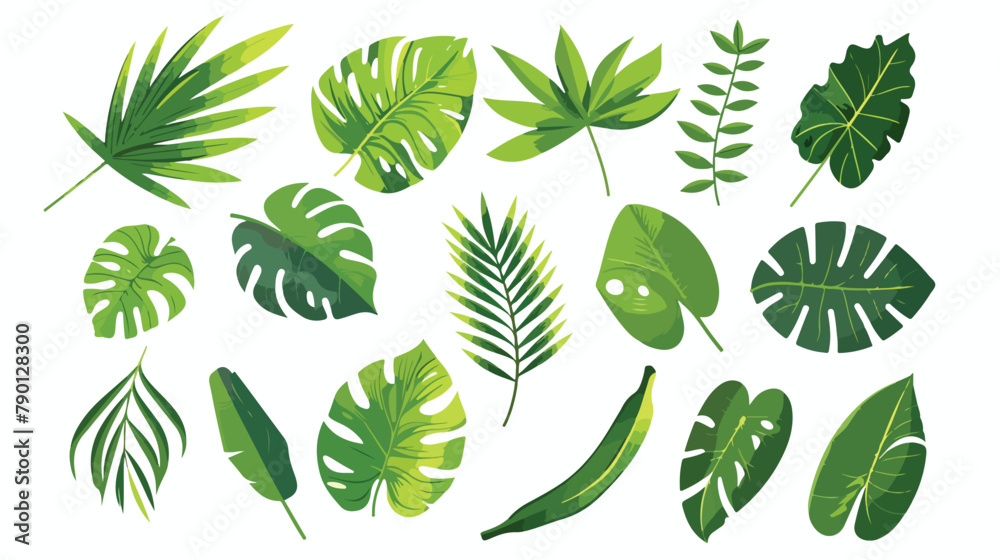 Exotic leaf set. Tropical jungle leaves. Green foliag - obrazy, fototapety, plakaty 
