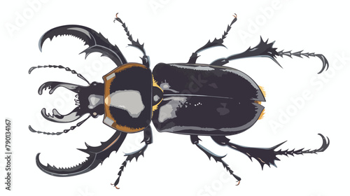 Greater stag beetle horned European insect. Male horn photo