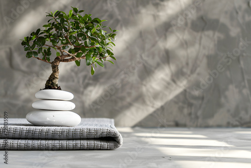 A Zen garden with smooth stones and raked sand, isolated on a contemplative balance grey background for International Yoga Day 