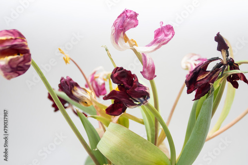 wilted multicolored flowers in a vase
