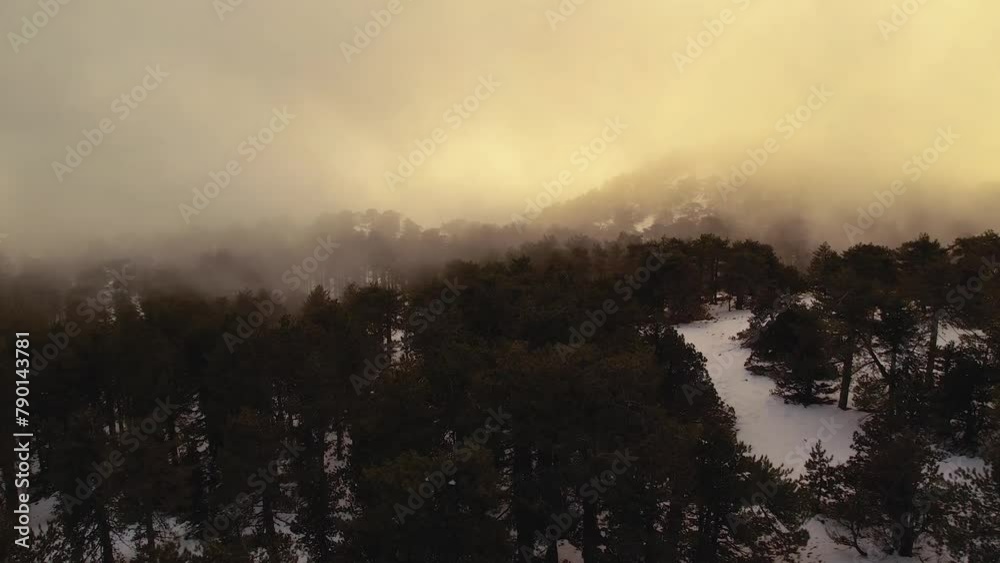 fog in the snow covered mountains fog in the snow covered mountains