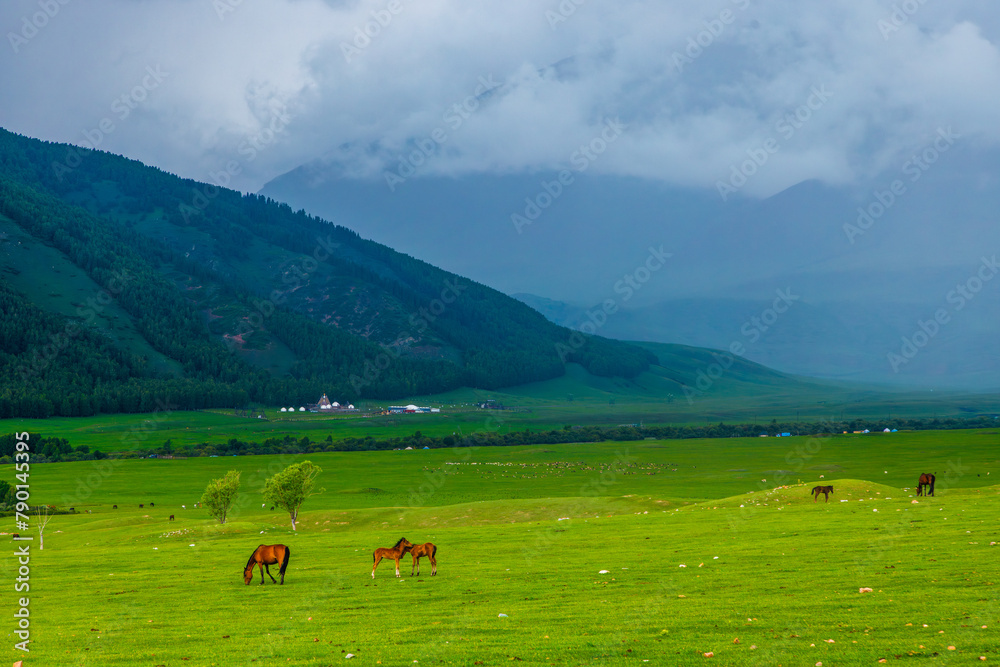Horses peacefully graze in a grassy field surrounded by majestic green mountains, creating a picturesque natural landscape.