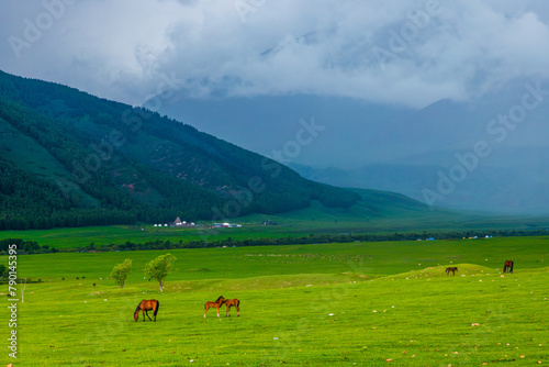 Horses peacefully graze in a grassy field surrounded by majestic green mountains  creating a picturesque natural landscape.