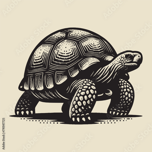 Galapagos tortoise.  Vintage retro engraving illustration. Black icon, isolated element	