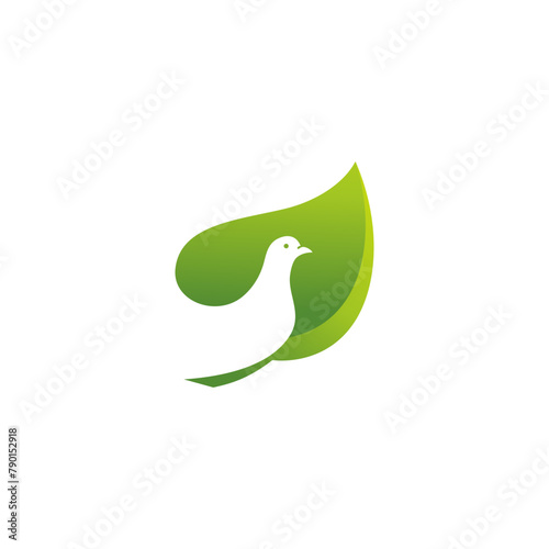 combining birds and leaves into one unique and interesting concept