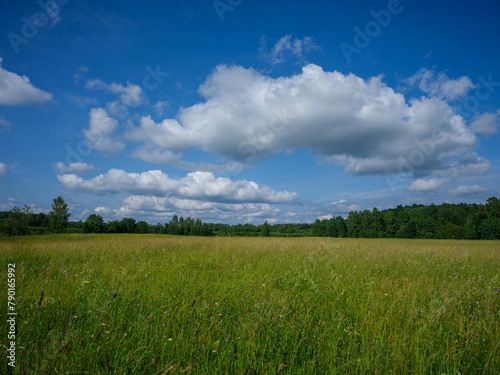 countryside fields in summer with blue sky over green fields