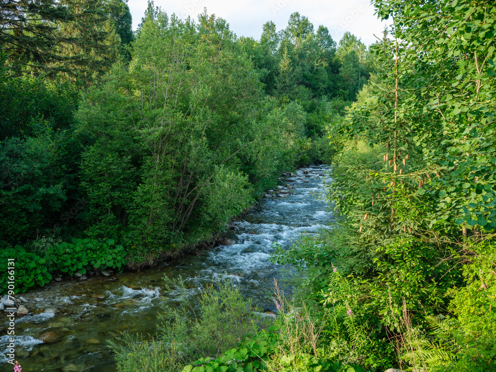 fast wild river with mountains in background in summer fast wild river with mountains in background in summer