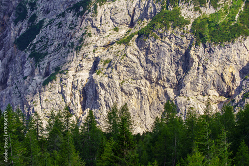 large white rock cliff in mountain region of Slovakia