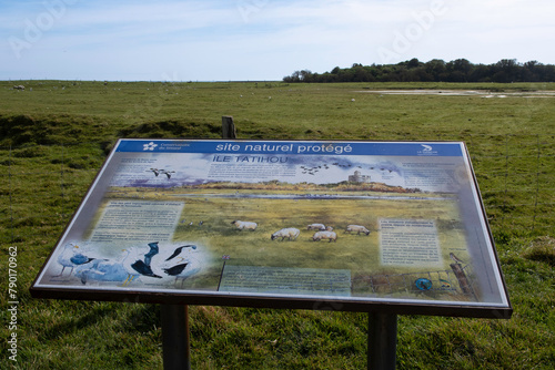 Ile de Tatihou, Saint Vaast la Hougue, Site naturel protégé,  Manche, 50, France photo