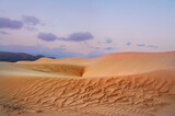 desert landscape. calm colors and minimalist lines
