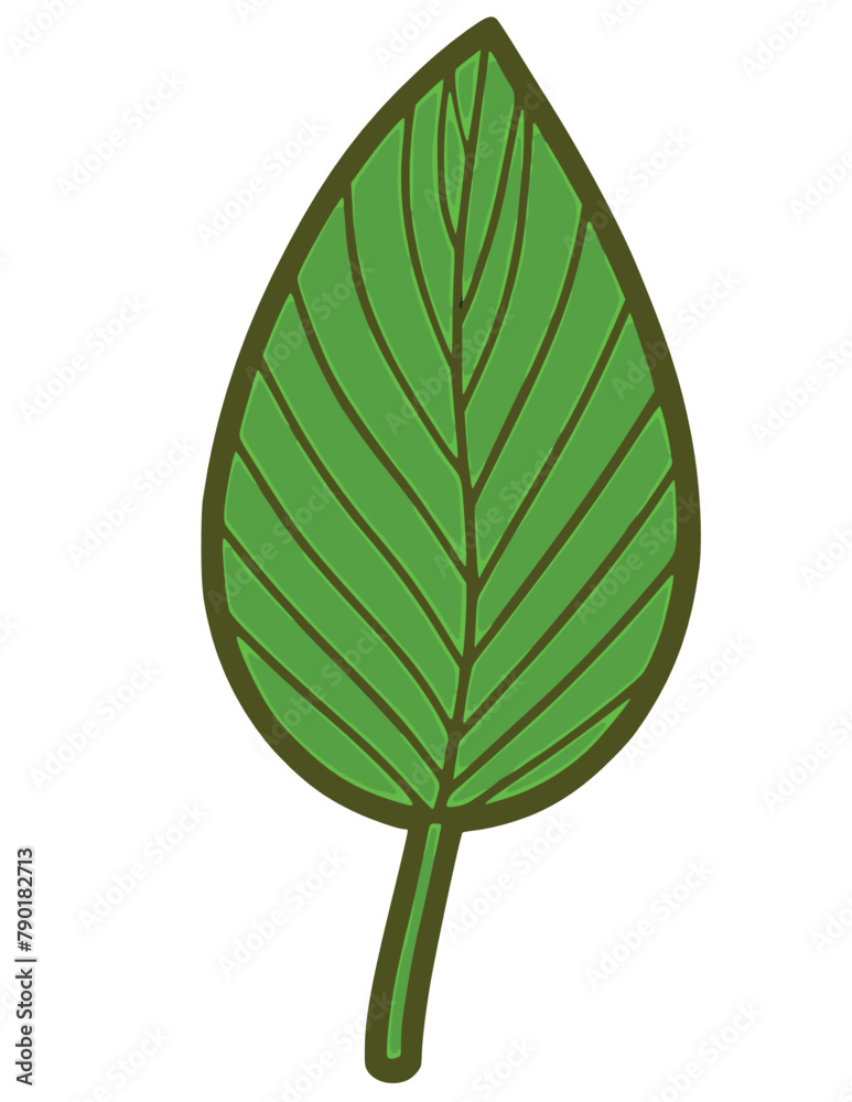 Hand drawing tropical leaves flamingo floral flower leaf leaves vector illustration