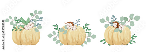 A set of ripe pumpkins with cotton flowers on a white background. Cartoon vector graphics. Autumn illustration.
