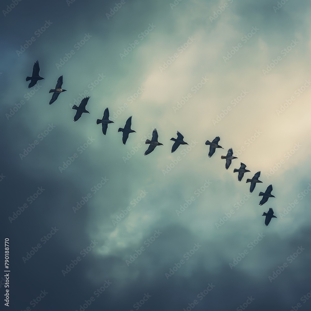 Naklejka premium a group of birds flying in the sky