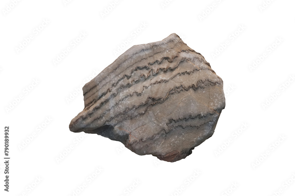 Sample of folded rock stone isolated on white background.