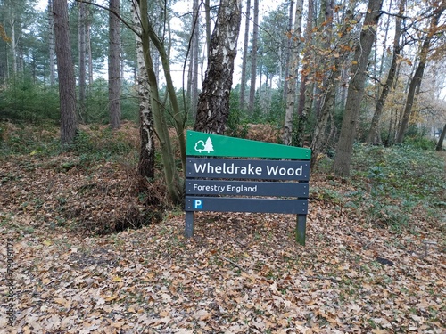 Wheldrake woods sign North Yorkshire England UK