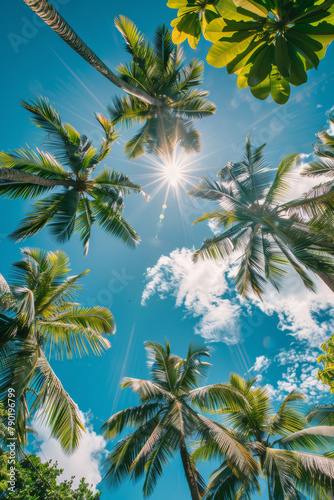 Tropical Background with Palm Trees