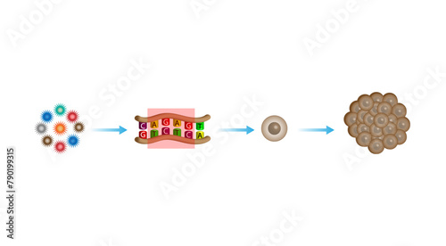 Cancer disease. Carcinogens, DNA damage. Malignant tumor. Medical biological, scientific vector illustration.	