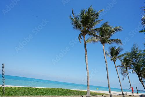 Coconut tree over blue sky. Beautiful beach road in Thailand,