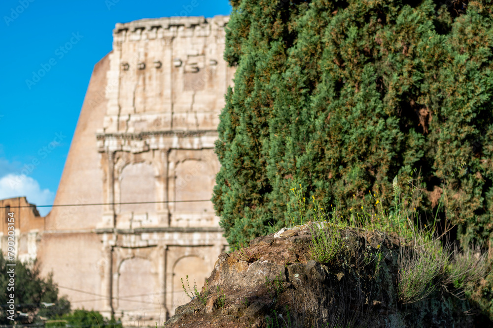 Fototapeta premium Le long du Colisée à Rome