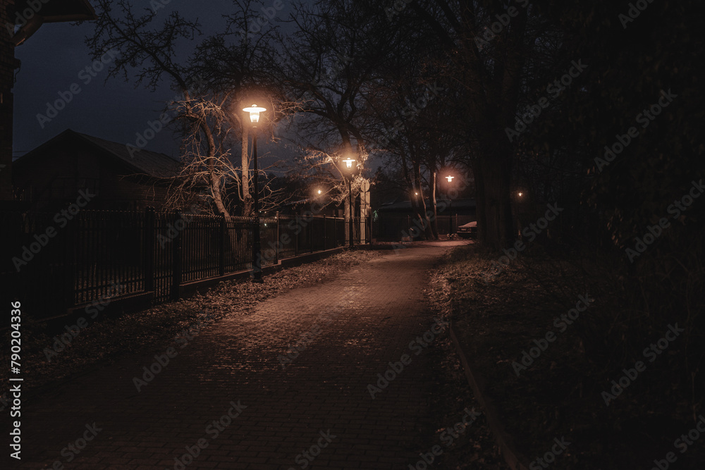 ciemna uliczka w nocy w mieście z latarniami we mgle