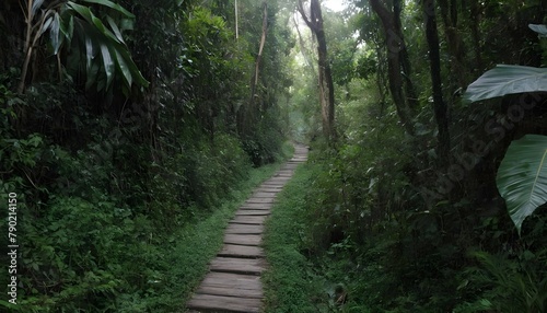 A narrow path leading through thick jungle vegetat upscaled 2