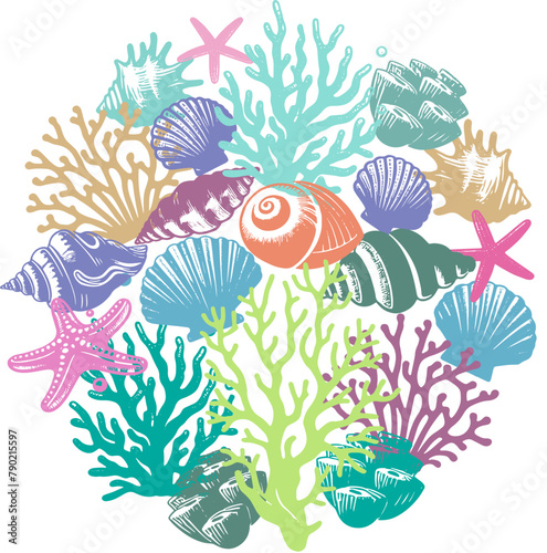 Adobe Illustrator Artwork, shells and algae