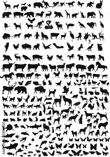 animals silhouette set. Big mammals collection. Livestock and poultry icons. Rural landscape. Group of animal of forest or wild. Sea animal and birds