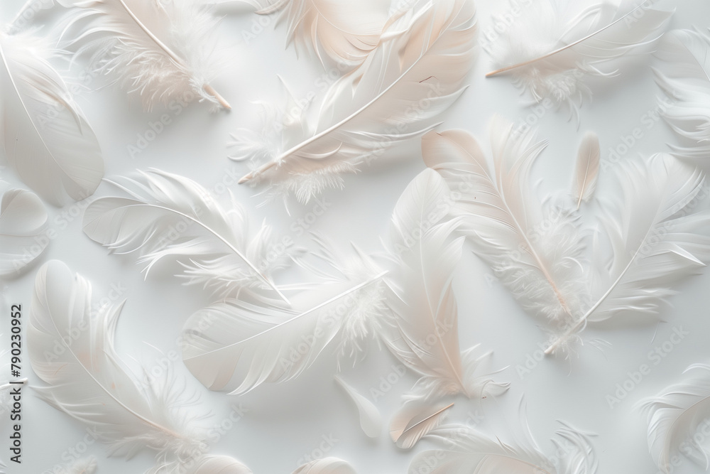  background with feathers, feathers,  abstract backgrounds, white feathers