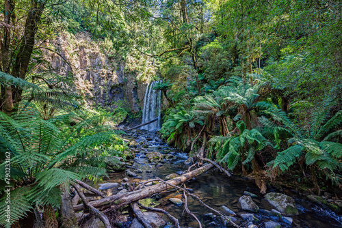 Waterfall in Maits Rest, Great Otway National Park, Australia