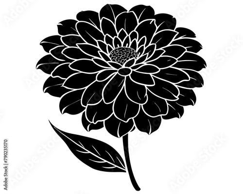 Protea flowers black silhouettes vector