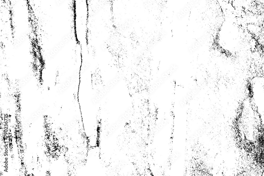 Obraz premium Abstract grunge black and white distressed texture background