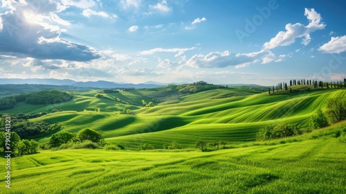 Hills Green. Tuscany Landscape with Rolling Grass Hills under Clear Blue Spring Sky