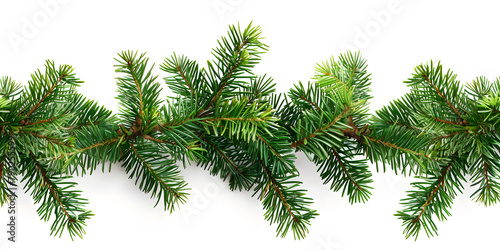 Fir tree branches isolated on white background. Christmas and New Year concept