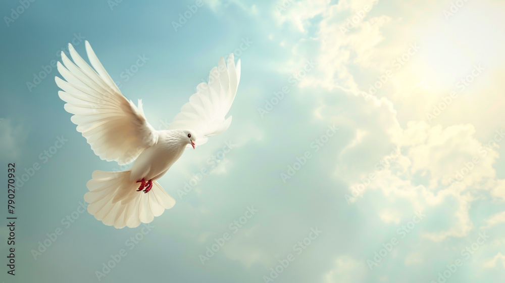 Obraz premium White dove flying in a sky with clouds