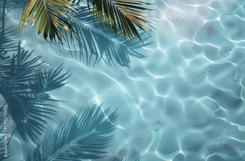 Palm Tree Reflection in Water