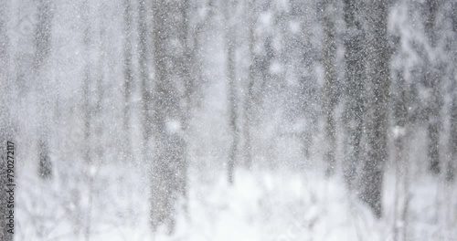 Winter landscape during snowfall. Winter Christmas abstract background on super slow motion. photo