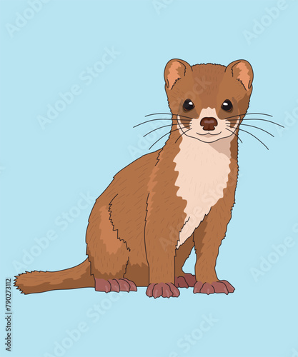 Least Weasel Weasels Sitting Side View
